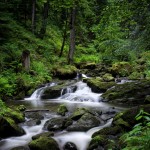 black_forest_river