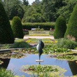 botanischergarten3
